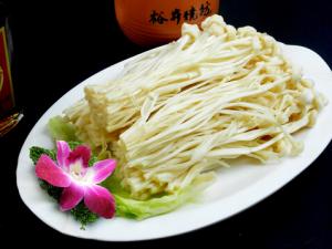 金針菇的做法-金針菇的營(yíng)養(yǎng)價(jià)值