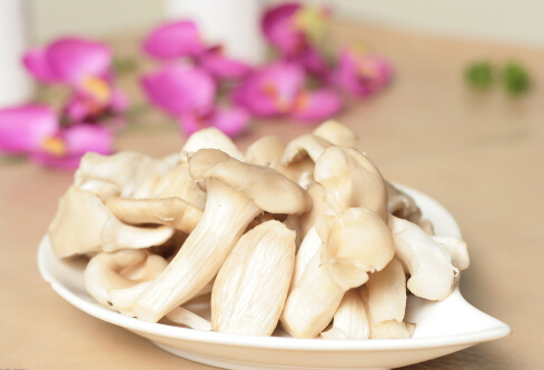 平菇的適宜人群與營養-平菇怎么做好吃?