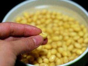 發芽豆還可以用嗎？發芽豆打豆漿更鮮美