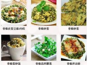 香椿怎么做好吃？香椿的做法