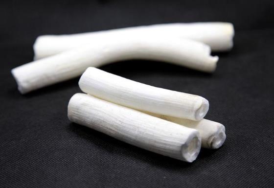怎么判斷通草是否過期?通草怎么煮湯喝?