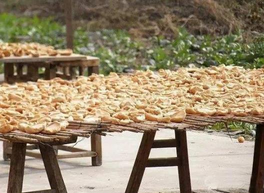 曬干的蘿卜干上面有灰塵怎么辦?蘿卜干鹽腌多久比較好