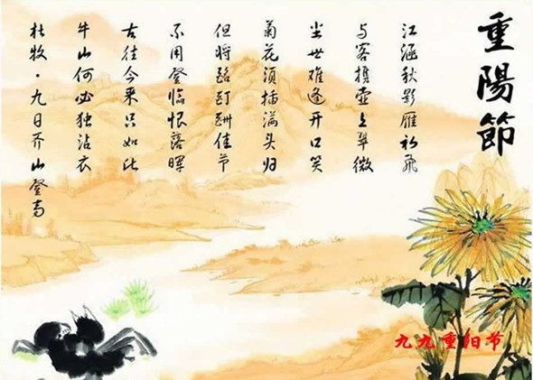 ꖹǎգPrv¾ꖹāv