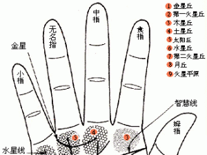 手相婚姻線(xiàn)圖解：從手相婚姻線(xiàn)看姻緣