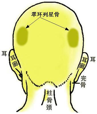 D⣺hǹ