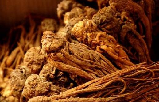 吃當歸有哪些好處?使用當歸的禁忌有哪些