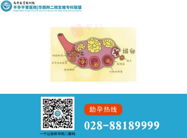 成都醫學附屬不孕不育醫院好嗎 高育齡女性生育力逐年下降!