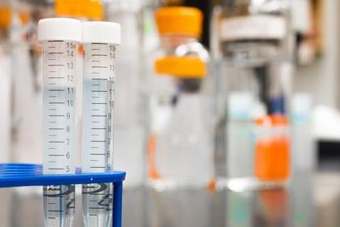 美國試管醫院哪家好?ENVITA助力生殖健康0缺陷