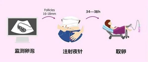 優貝貝助孕科普課堂:試管中打的都是什么針?