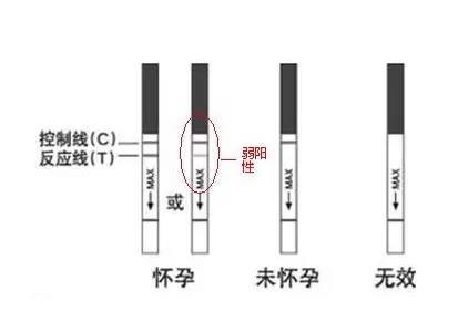 驗孕試紙一深一淺怎么看,武漢仁愛醫院醫生來教您!