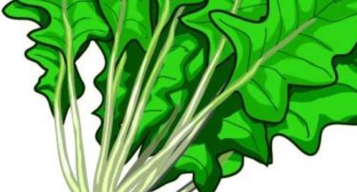 孕婦心情不好是很妊娠期間非常常見的問題 吃吃這些減壓食物