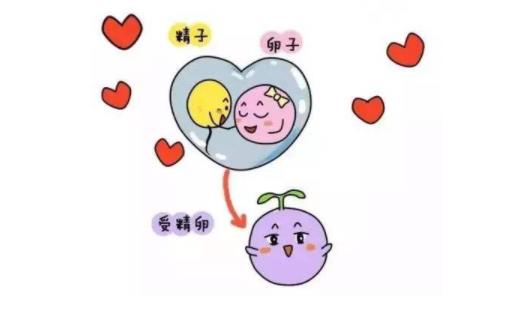 分享受精的奇妙感受 做幸福的準媽媽