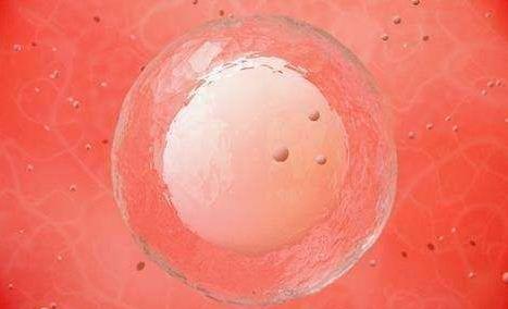 分享受精的奇妙感受 做幸福的準媽媽