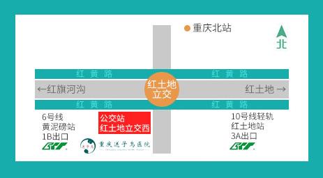 重慶送子鳥屬幾級醫院 細致用藥,規范診療
