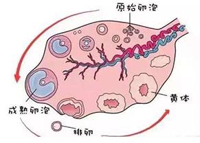 重慶送子鳥醫院的評論:貼心、細心、耐心,細節獲好評