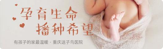 重慶送子鳥醫院的評論:貼心、細心、耐心,細節獲好評