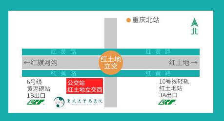 重慶送子鳥收費標準 誠信醫療,就診便捷