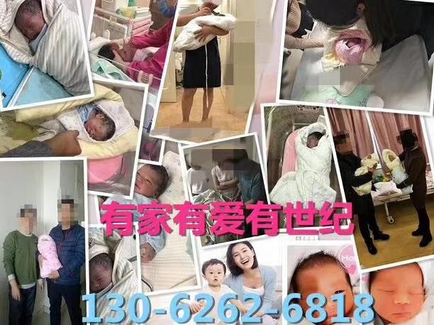 上海供卵第三代試管全科普,最強找人代生孩子專家就是我!