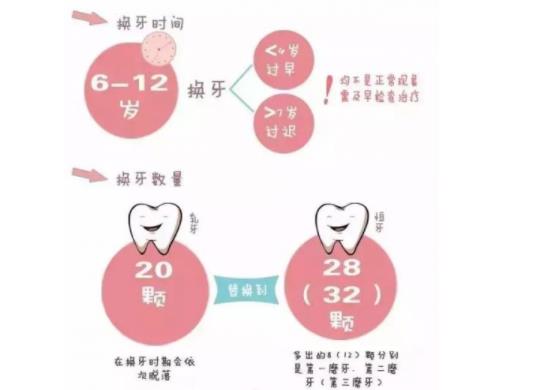 兒童換牙順序 兒童換牙期需要補(bǔ)鈣嗎