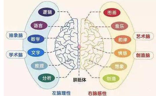不同年齡段寶寶開發(fā)右腦 寶寶右腦開發(fā)小游戲推薦