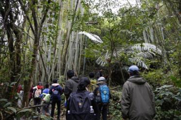 凡益之道秘境弄崗生態研學之旅圓滿結束