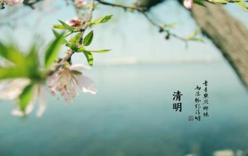 清明節送什么花去墓地比較好?清明節上墳花束一般包多少朵