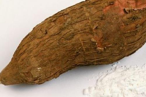 木薯種植時(shí)間是什么時(shí)候?木薯最佳種植時(shí)間