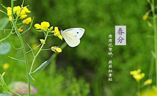 2018年春分是哪天?春分是什么時候?