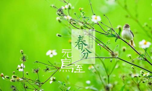 2018年春分是哪天?春分是什么時候?