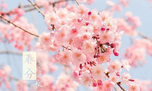 2018年春分是哪天?春分是什么時候?