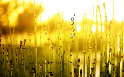 2018年小滿是哪天?小滿是什么時候?