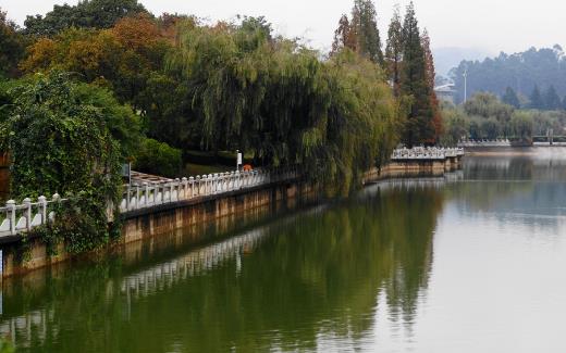 昆明什么季節旅游最合適 昆明旅游最佳時間