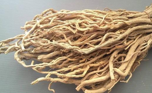 春天可以喝黃芪水嗎 什么季節可以喝黃芪水