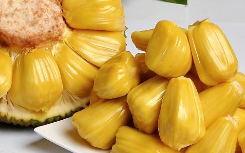 菠蘿蜜什么季節吃最好 哪里產的菠蘿蜜最好吃