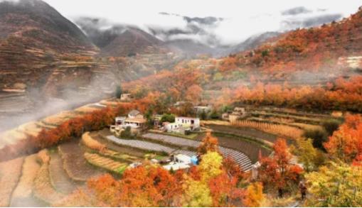 光霧山什么時候去看楓葉最好 光霧山最佳旅游季節
