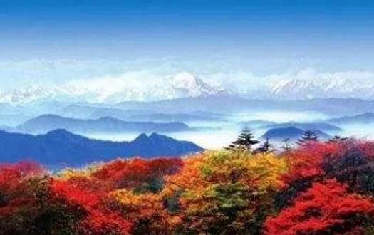 西嶺雪山彩林最佳觀賞期是什么時候 西嶺雪山紅葉最佳觀賞時間