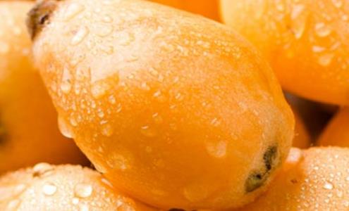 枇杷什么時(shí)候吃最好 吃枇杷最佳時(shí)間