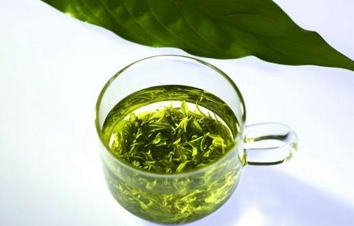 日照綠茶什么時(shí)候上市 日照綠茶什么時(shí)候采摘最好