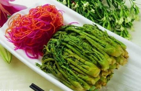 刺老芽什么時候采摘 刺老芽成熟季節