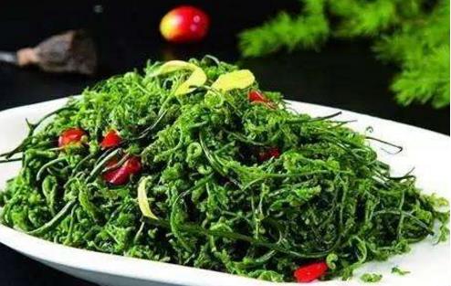 菊花腦什么時(shí)候種 菊花腦什么時(shí)候采收