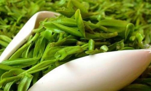 烏牛早什么時候上市 烏牛早茶采摘時間