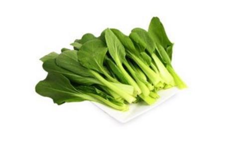 雞毛菜什么時候播種 雞毛菜什么時候吃最好