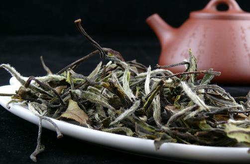 白茶什么時(shí)候開始?jí)猴?白茶壓餅最佳時(shí)間