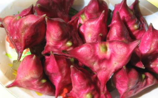 紅菱什么時(shí)候上市?什么時(shí)候采紅菱