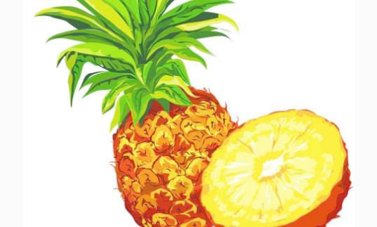 菠蘿什么時(shí)候吃最好?菠蘿什么時(shí)間吃合適?