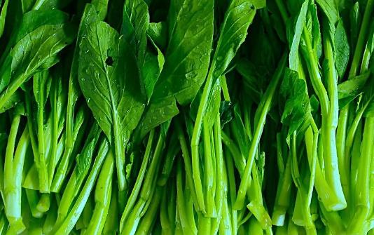 春天能種油菜嗎?油菜春天什么時候種植?