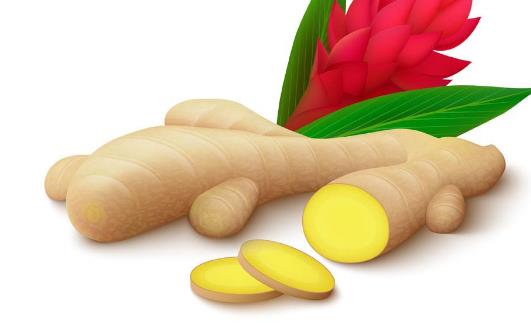 炒菜時(shí)什么時(shí)候用生姜 炒菜放生姜的時(shí)間