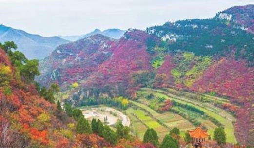 沂源鳳凰山紅葉節什么時候開始 沂源鳳凰山紅葉節開始時間