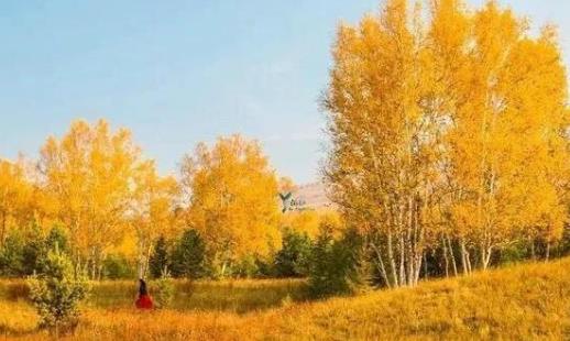 烏蘭布統(tǒng)什么時候旅游最好 烏蘭布統(tǒng)最佳旅游時間