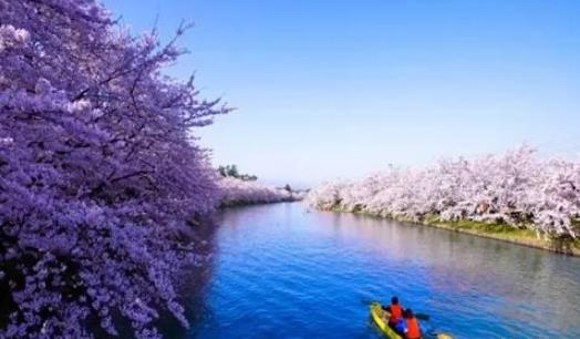 日本青森縣最佳旅游季節(jié) 日本青森什么時(shí)候旅游好